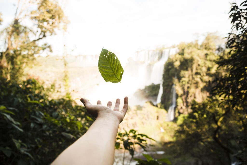 sustentabilidade.telemedicina